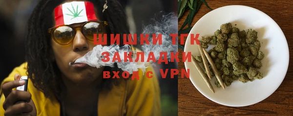 ПСИЛОЦИБИНОВЫЕ ГРИБЫ Покров