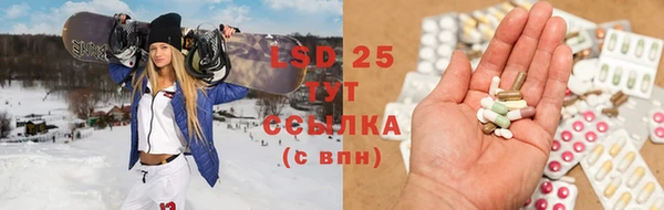 ПСИЛОЦИБИНОВЫЕ ГРИБЫ Покров