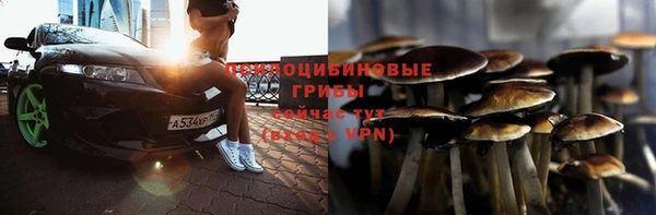 МДПВ Покровск