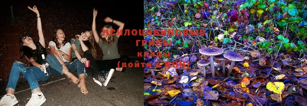 МДПВ Покровск