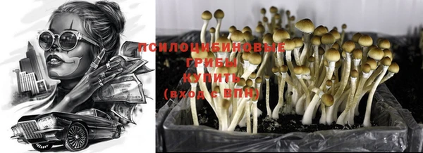 ПСИЛОЦИБИНОВЫЕ ГРИБЫ Покров