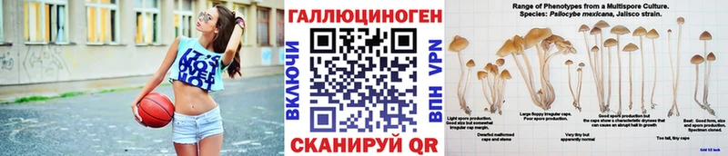 Псилоцибиновые грибы ЛСД  Чегем 